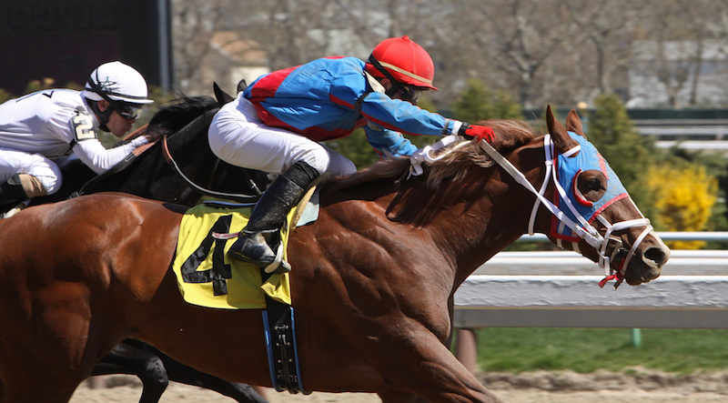 Wood Memorial Stakes at Aqueduct 2024