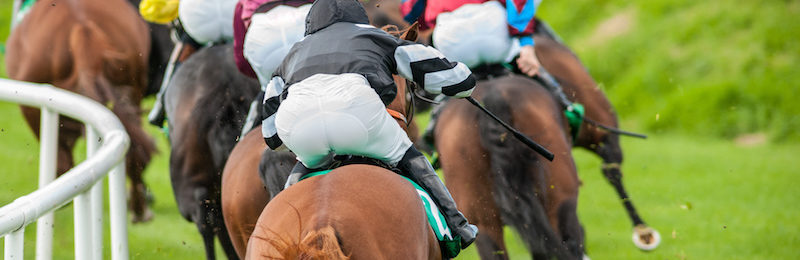 All-Weather Championships Final at Lingfield Park 2025
