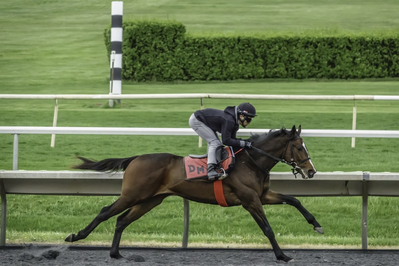 American Derby at Arlington Park 2024