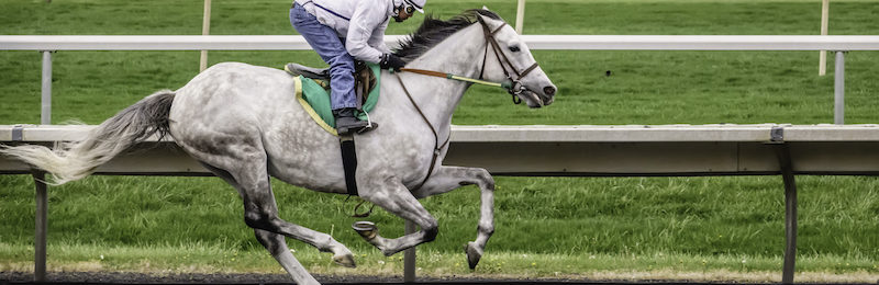 Arlington Million at Arlington Park 2024