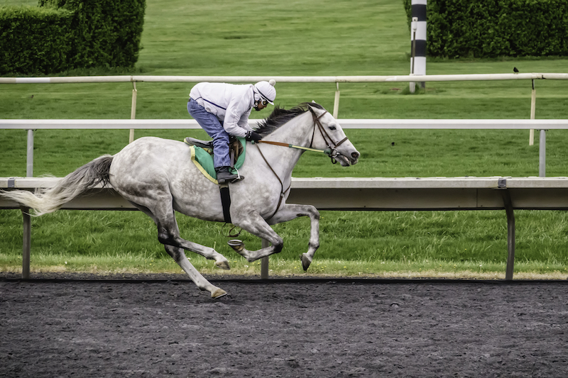 Arlington Million at Arlington Park 2024