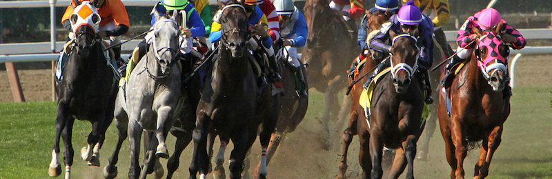 Belmont Oaks at Belmont Park 2024