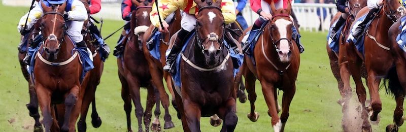 Betfair Chase at Haydock Park 2024