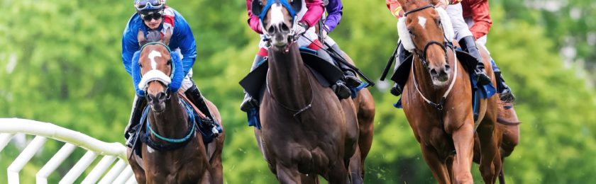 Cincinnatian Stakes at Belterra Park 2024