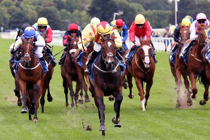 Bet On The Derby Trial At Lingfield Park 2025 Best Odds