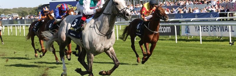 Doncaster Cup at Doncaster 2024