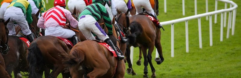 Dr James Penny Memorial Stakes 2024