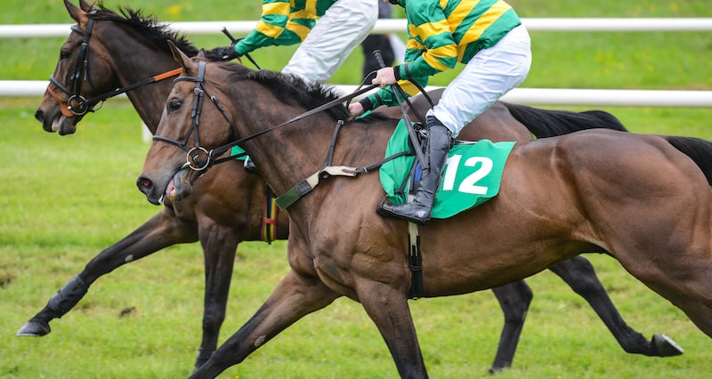 Fighting Fifth Hurdle Newcastle 2023