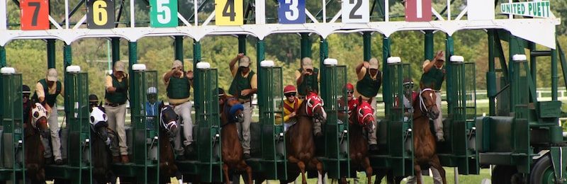 Hanshin Cup at Arlington Park 2024