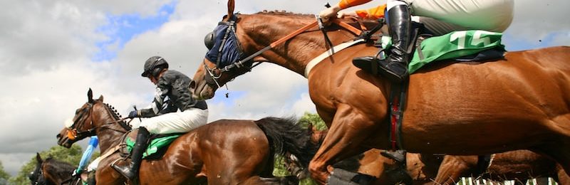 Hoover Stakes at Belterra Park 2024