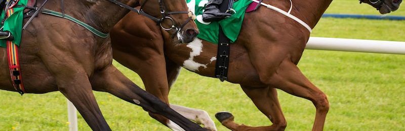 King George VI Chase at Kempton Park 2024