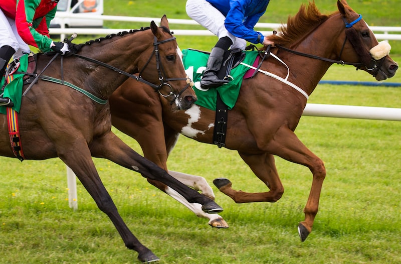 King George VI Chase at Kempton Park 2024