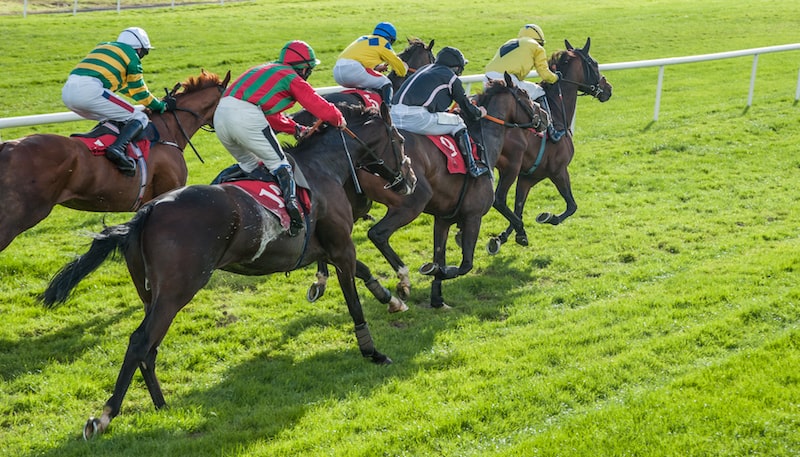 Ladies Day at Fakenham 2024