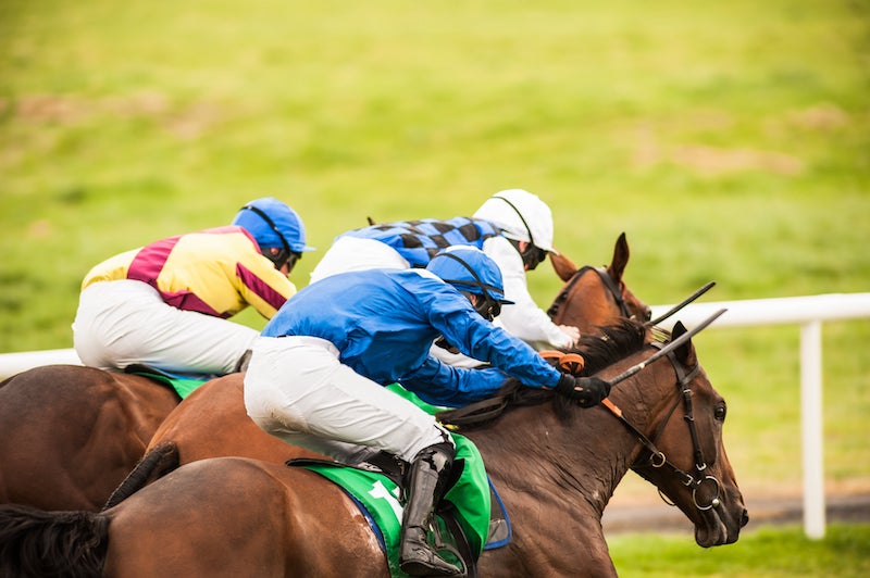 Ladies Day at Plumpton 2024