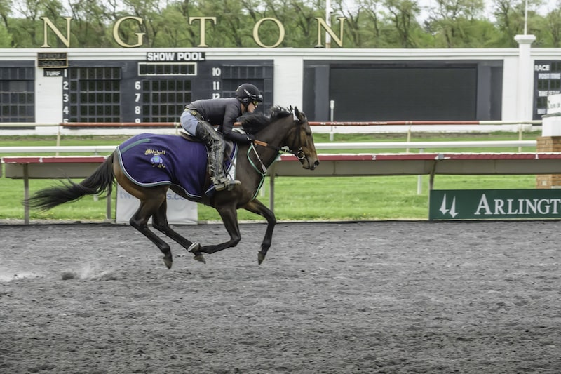 Modesty Handicap at Arlington Park 2024