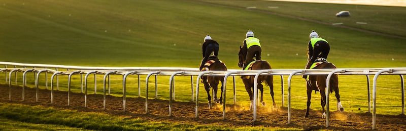 Newmarket Sun Chariot Stakes 2024