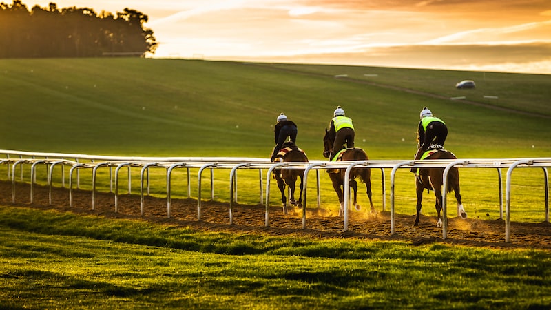 Newmarket Sun Chariot Stakes 2024