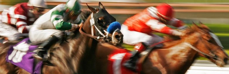 Newton Abbot Novices’ Chase 2024