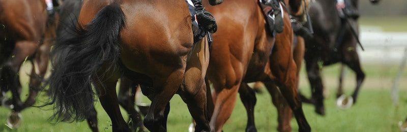 Northumberland Plate at Newcastle 2024