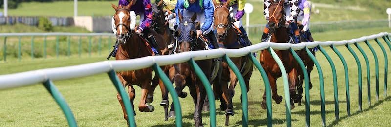 Nottinghamshire Oaks 2024