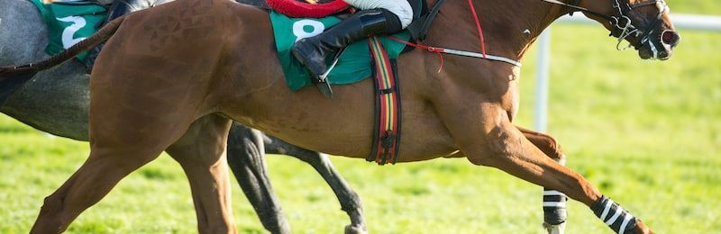 Old Newton Cup at Haydock Park 2024