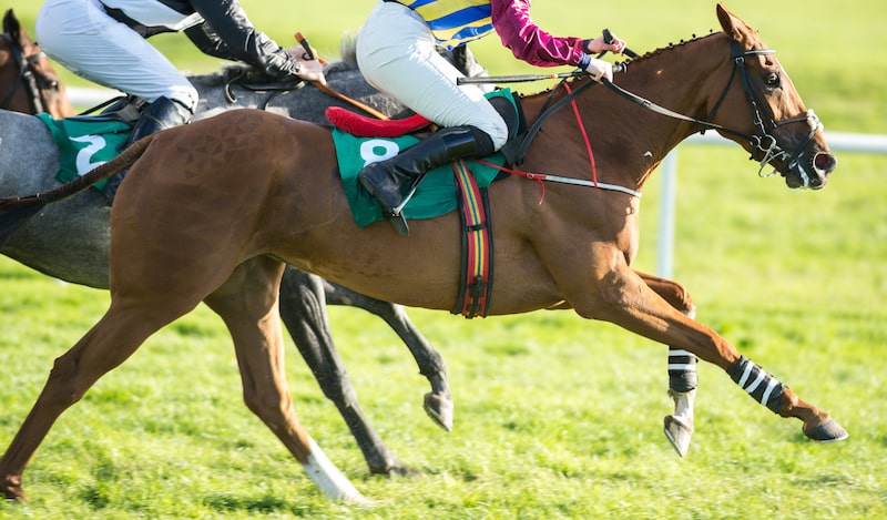 Old Newton Cup at Haydock Park 2024