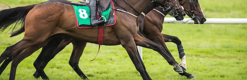 Perth Gold Cup 2024