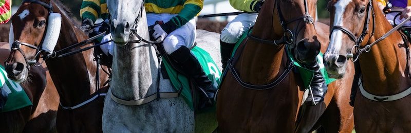 Premier Kelso Hurdle at Kelso 2025