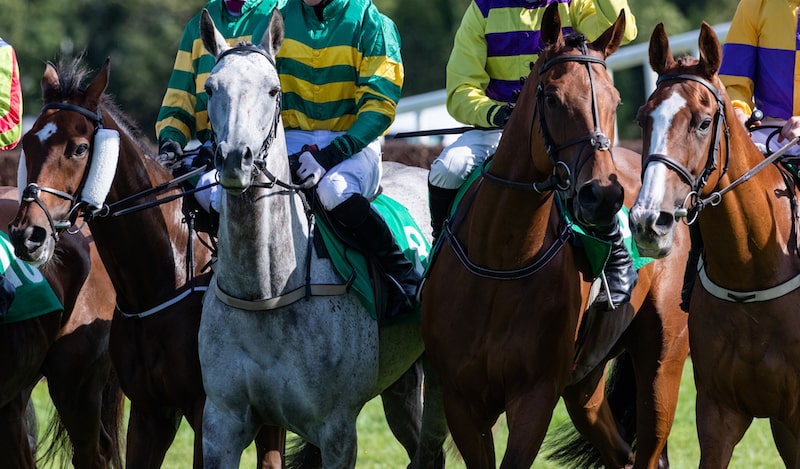 Premier Kelso Hurdle at Kelso 2024