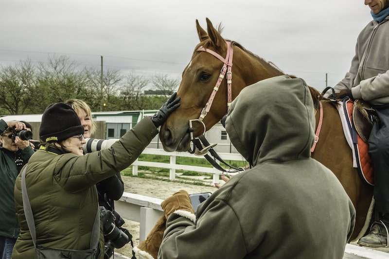 Pucker up Stakes at Arlington Park 2024