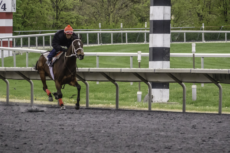 Beverly D. Stakes at Arlington Park 2024