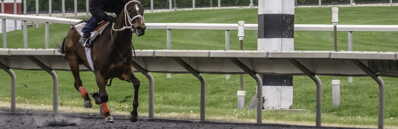 Secretariat Stakes at Arlington Park 2024