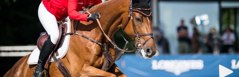 Sidney Banks Memorial Novices Hurdle at Huntingdon 2025