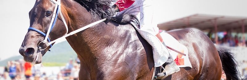 Tah Dah Stakes at Belterra Park 2024