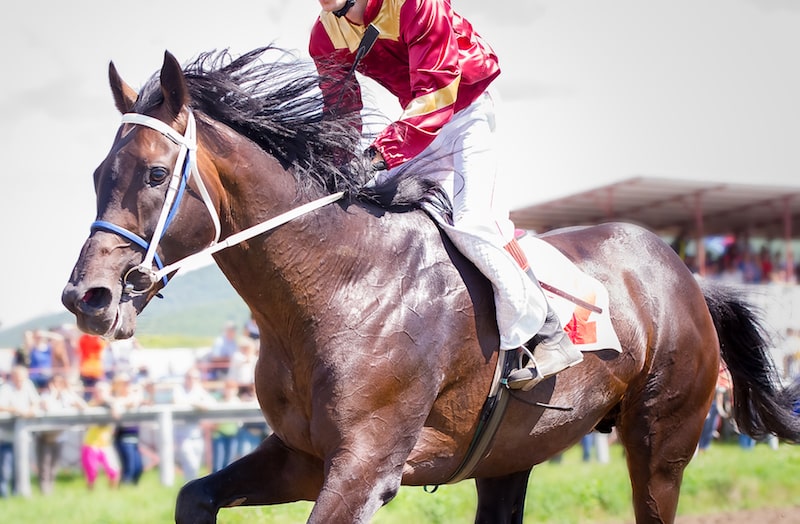 Tah Dah Stakes at Belterra Park 2024