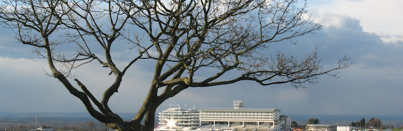 The Oaks at Epsom Downs 2024