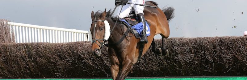 Turf Monster Stakes at Parx Casino and Racing 2024