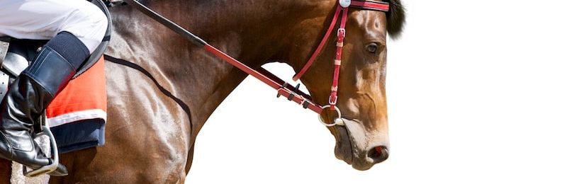 Vivacious Handicap at Belterra Park 2024