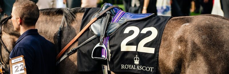 Champion Stakes Ascot 2023