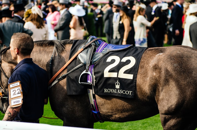 Champion Stakes Ascot 2024