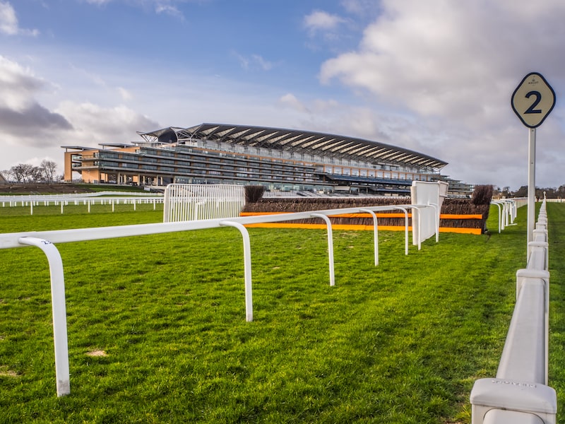 Bet On The King VI & Queen Elizabeth Stakes 2024