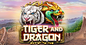 Tiger and Dragon Slot