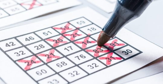 5 Tips on How to Become a Bingo Champion