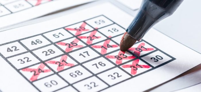 5 Tips on How to Become a Bingo Champion