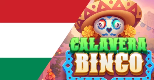 Top 5 Online Bingo Games Reviewed for Hungarian Players