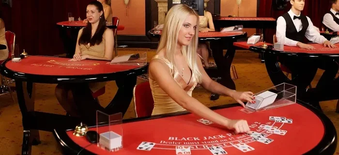 How to Choose a Live Casino