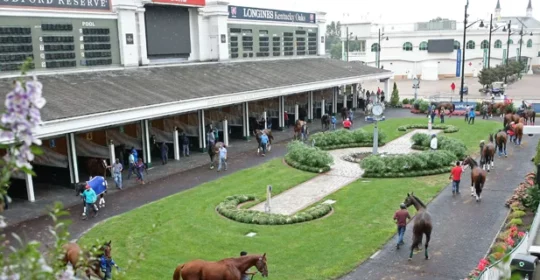 How Do You Calculate a Horse Handicap for Chance of Rain