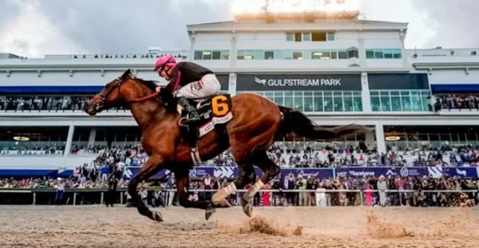 Everything You Need to Know About the 2024 Pegasus World Cup