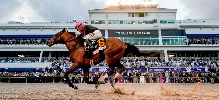 Everything You Need to Know About the 2024 Pegasus World Cup