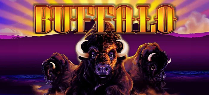 Buffalo Slot Machine: Games Reviewed for Australian Players